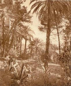 ALGER 000057 PARC D HAMMAM R HIRA